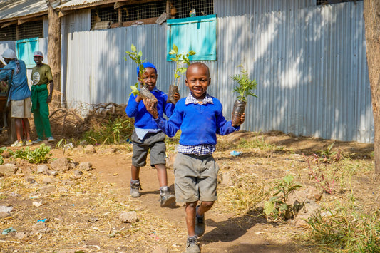 Bright Future Africa - Vol.2